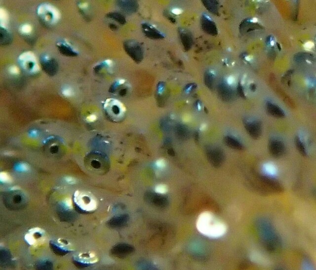f:id:takedive1988:20200714172303j:image