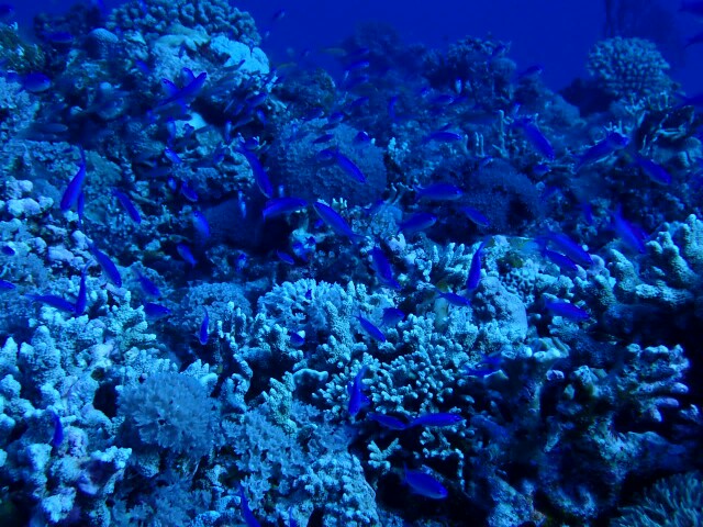 f:id:takedive1988:20200724180158j:image