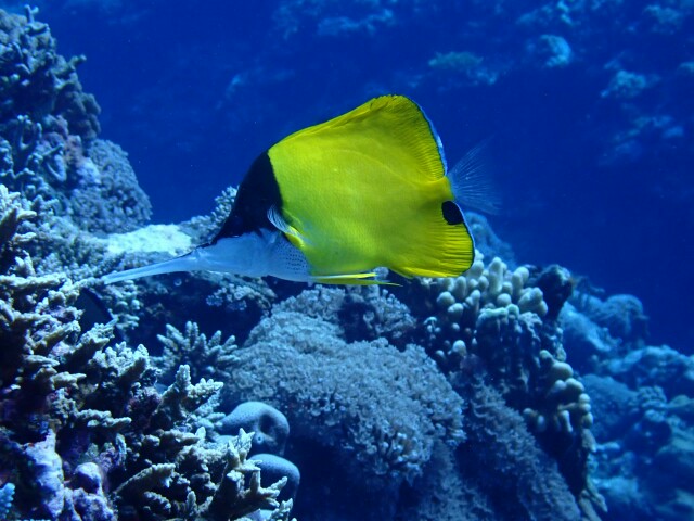 f:id:takedive1988:20200724180220j:image
