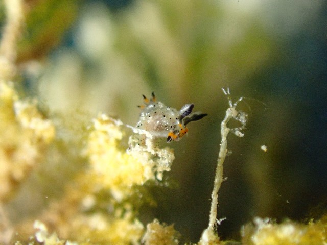 f:id:takedive1988:20200913212647j:image f:id:takedive1988:20200913212647j:image