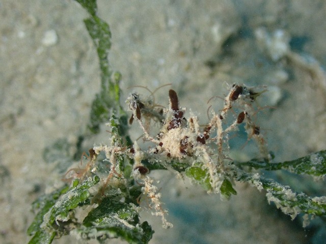 f:id:takedive1988:20200913212755j:image f:id:takedive1988:20200913212755j:image