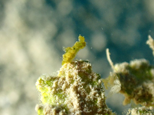 f:id:takedive1988:20200913212940j:image f:id:takedive1988:20200913212940j:image