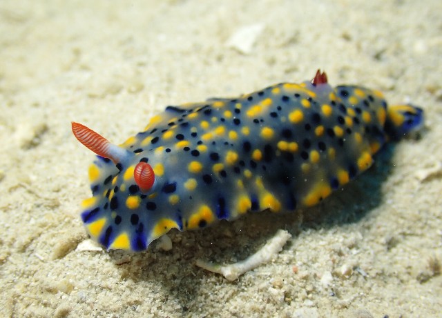 f:id:takedive1988:20200913213145j:image f:id:takedive1988:20200913213145j:image