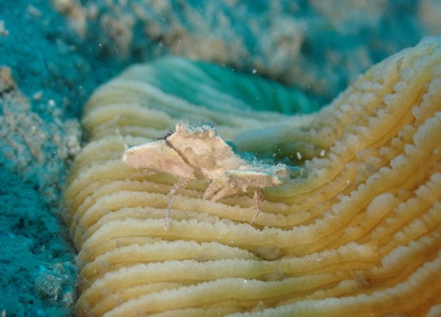 f:id:takedive1988:20200913213157j:image f:id:takedive1988:20200913213157j:image