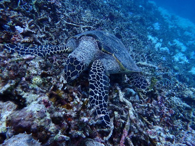 f:id:takedive1988:20200913213257j:image f:id:takedive1988:20200913213257j:image