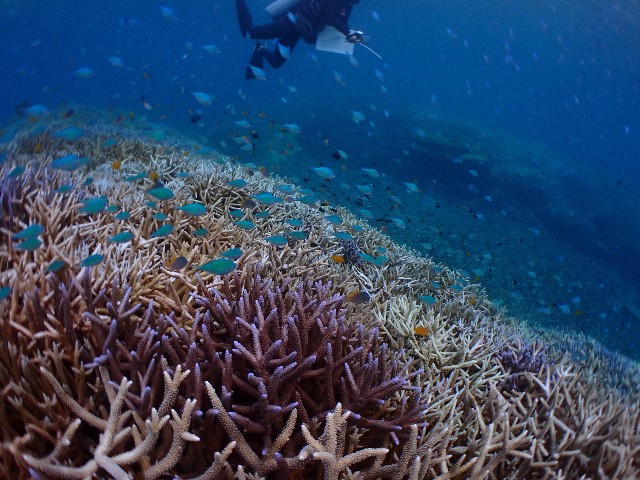 f:id:takedive1988:20200913213524j:image f:id:takedive1988:20200913213524j:image