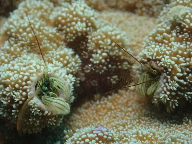 f:id:takedive1988:20200914212246j:image f:id:takedive1988:20200914212246j:image