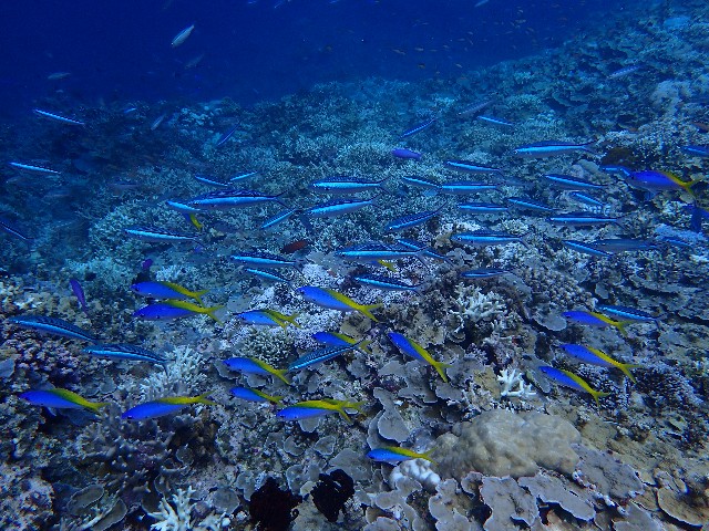 f:id:takedive1988:20200914213014j:image f:id:takedive1988:20200914213014j:image