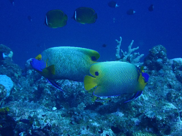 f:id:takedive1988:20200914213132j:image f:id:takedive1988:20200914213132j:image