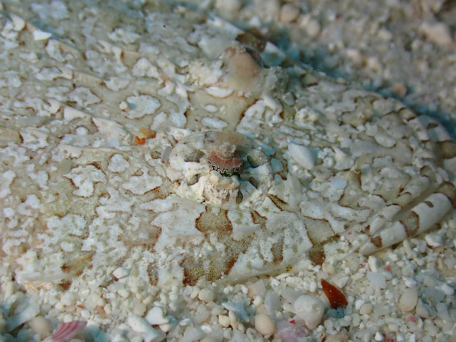 f:id:takedive1988:20200914213236j:image f:id:takedive1988:20200914213236j:image