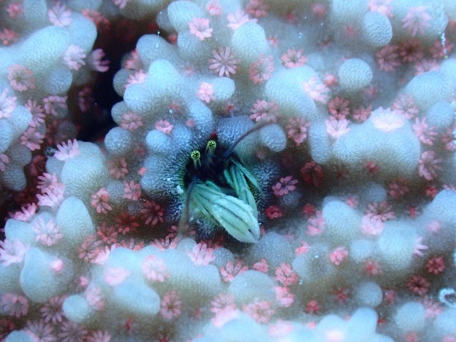 f:id:takedive1988:20200914213333j:image f:id:takedive1988:20200914213333j:image