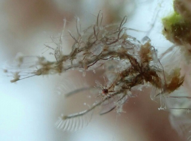 f:id:takedive1988:20200914213916j:image f:id:takedive1988:20200914213916j:image