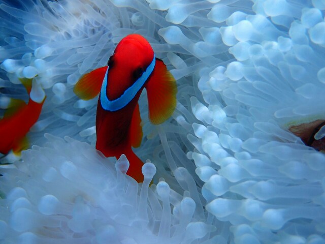 f:id:takedive1988:20200914214155j:image f:id:takedive1988:20200914214155j:image