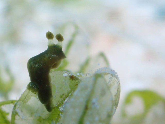 f:id:takedive1988:20200918224358j:image