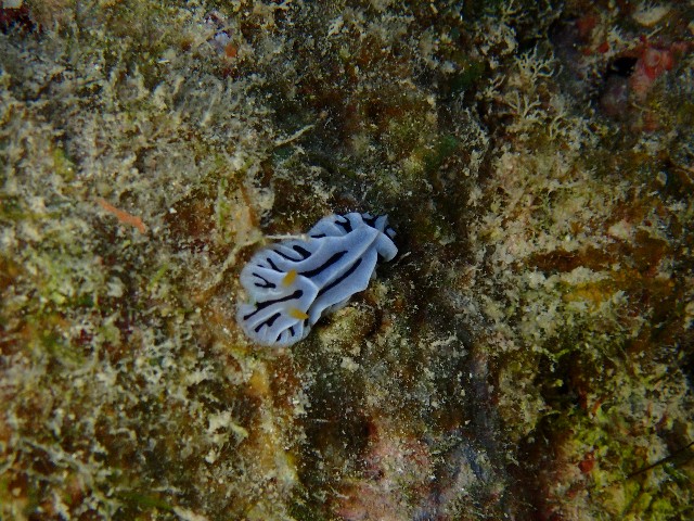 f:id:takedive1988:20200923224823j:image