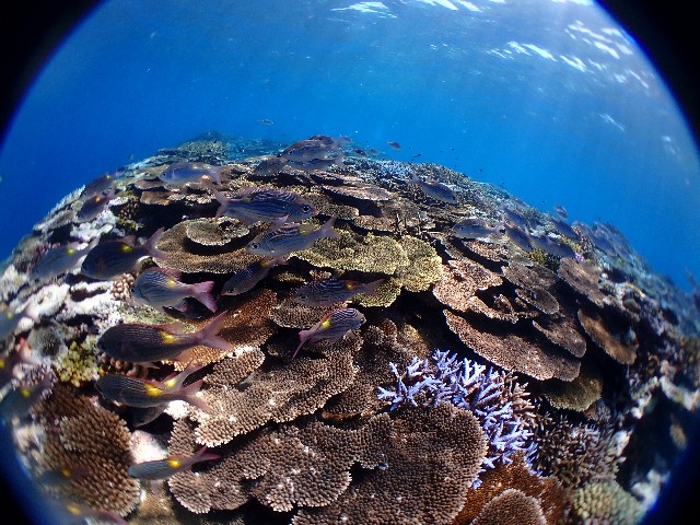 f:id:takedive1988:20200923224841j:image
