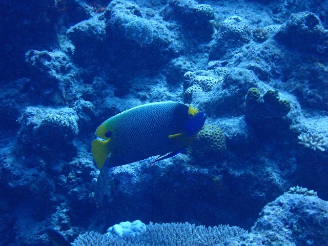 f:id:takedive1988:20200923224919j:image
