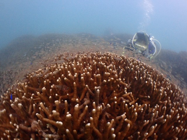 f:id:takedive1988:20200923224955j:image