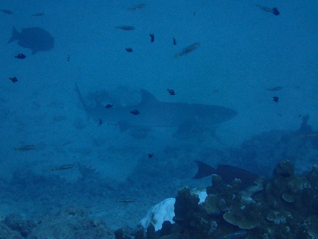 f:id:takedive1988:20200925210255j:image