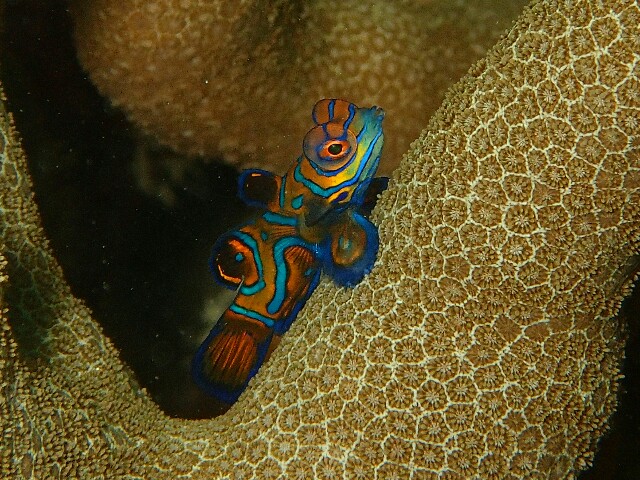 f:id:takedive1988:20200925213213j:image