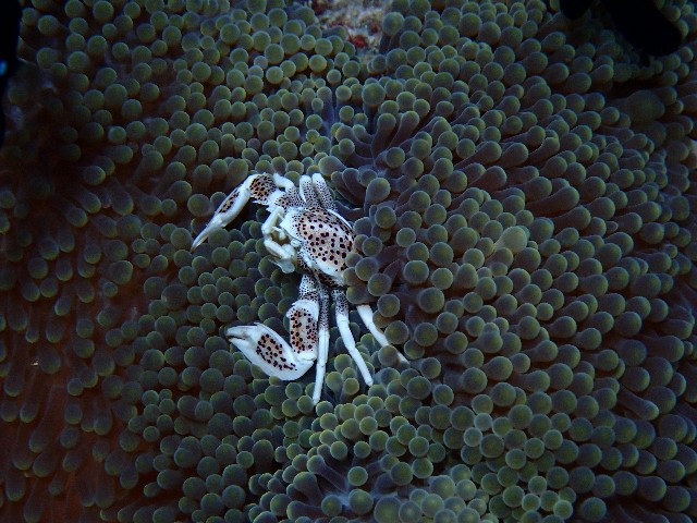 f:id:takedive1988:20200927234629j:image