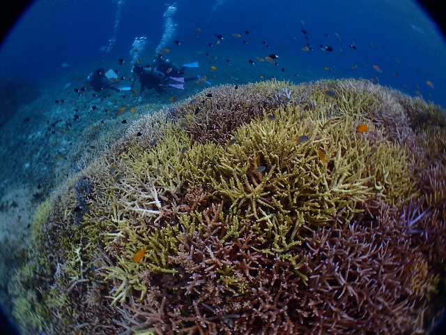 f:id:takedive1988:20200927234648j:image