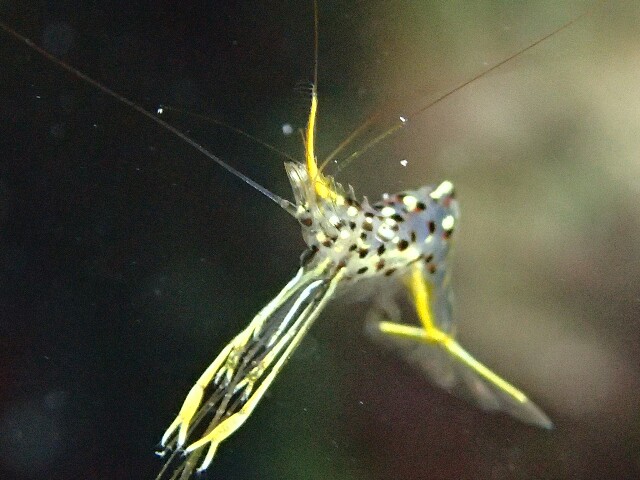 f:id:takedive1988:20200927235611j:image