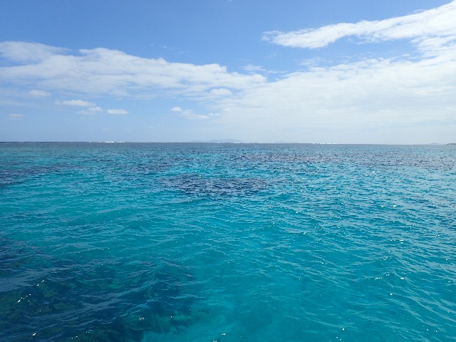 f:id:takedive1988:20200929220241j:image f:id:takedive1988:20200929220241j:image