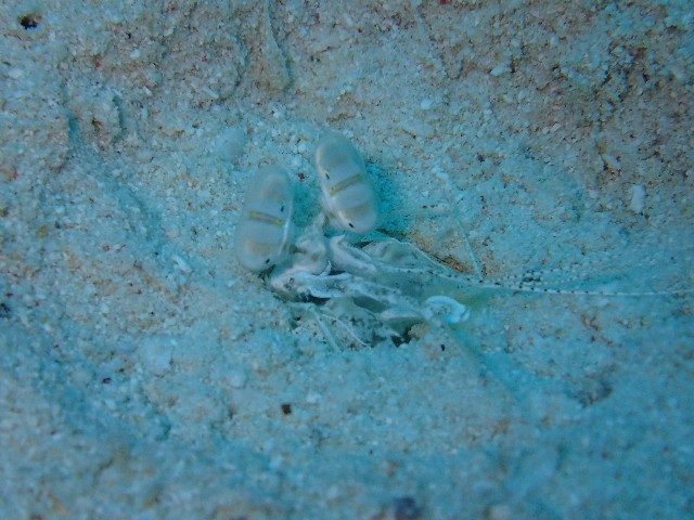 f:id:takedive1988:20200929220355j:image f:id:takedive1988:20200929220355j:image