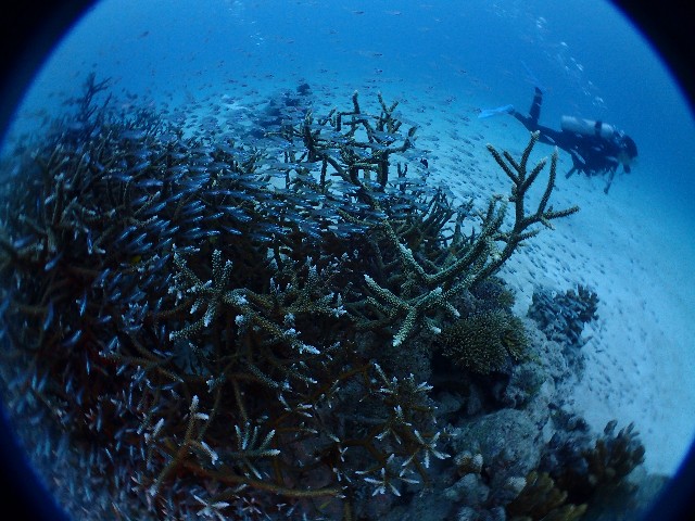 f:id:takedive1988:20200929220513j:image f:id:takedive1988:20200929220513j:image