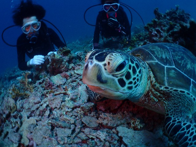 f:id:takedive1988:20200929220543j:image f:id:takedive1988:20200929220543j:image