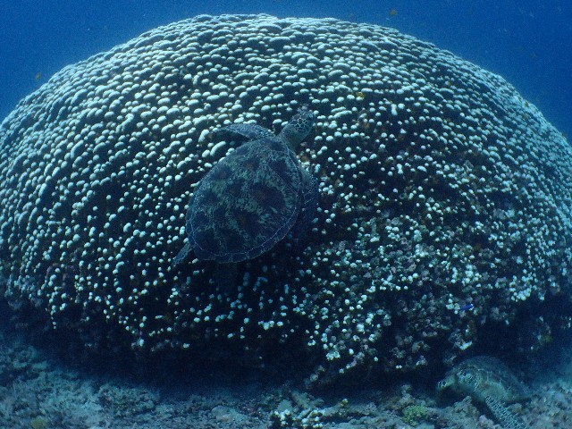 f:id:takedive1988:20200929220745j:image f:id:takedive1988:20200929220745j:image