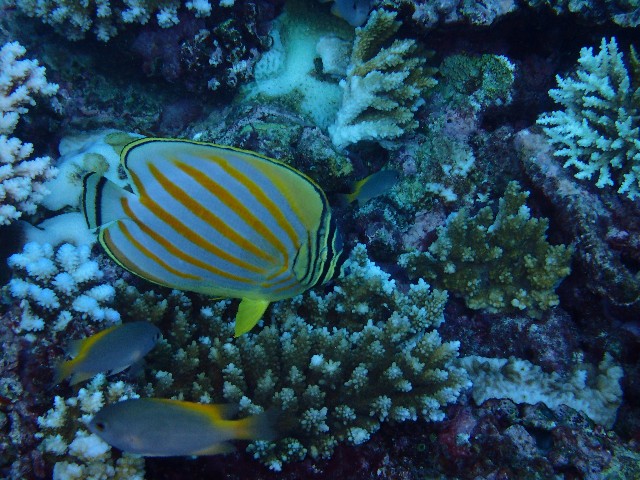 f:id:takedive1988:20200929221108j:image f:id:takedive1988:20200929221108j:image