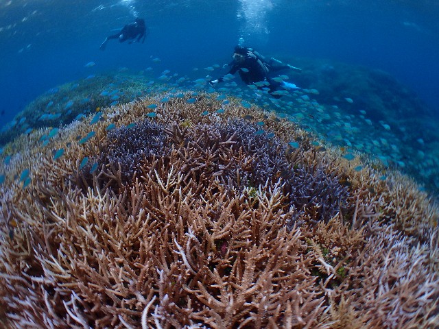 f:id:takedive1988:20200930174408j:image f:id:takedive1988:20200930174408j:image