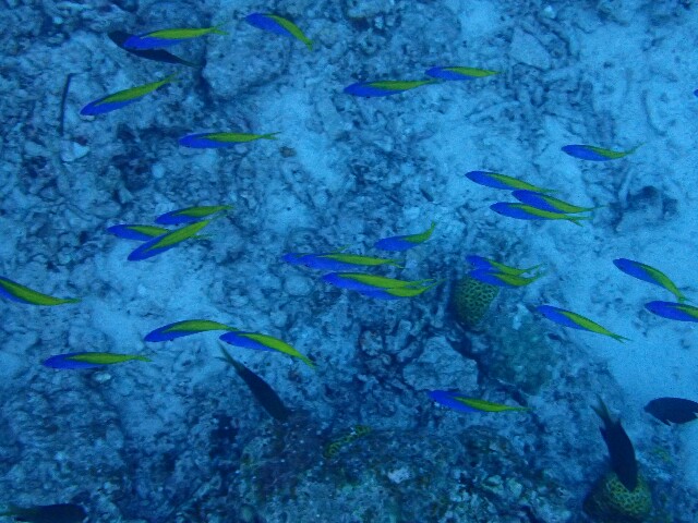 f:id:takedive1988:20200930222816j:image f:id:takedive1988:20200930222816j:image