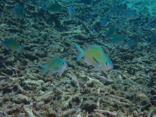 f:id:takedive1988:20200930223136j:image f:id:takedive1988:20200930223136j:image