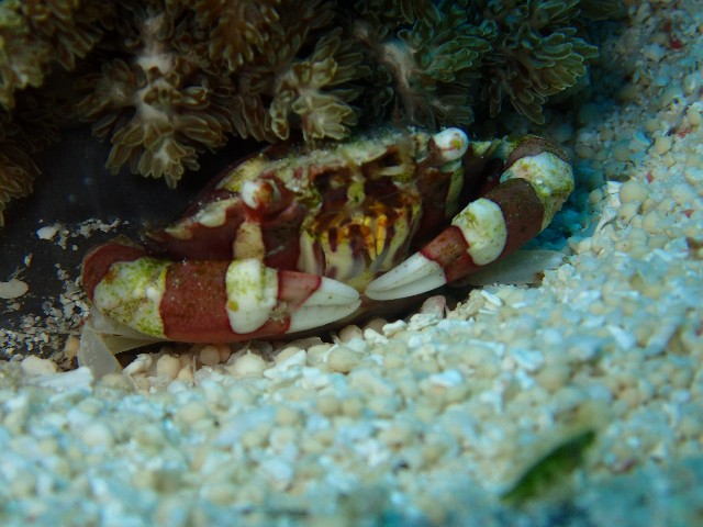 f:id:takedive1988:20201005103547j:image f:id:takedive1988:20201005103547j:image