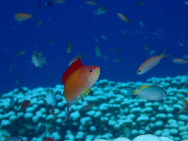 f:id:takedive1988:20201005103613j:image f:id:takedive1988:20201005103613j:image
