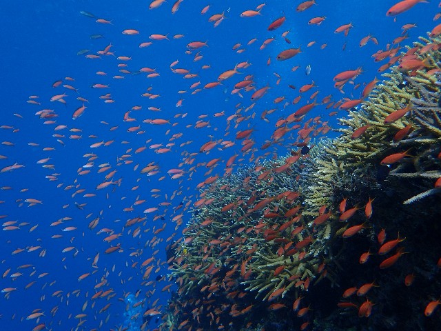 f:id:takedive1988:20201007222143j:image f:id:takedive1988:20201007222143j:image