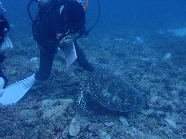 f:id:takedive1988:20201014213018j:image f:id:takedive1988:20201014213018j:image