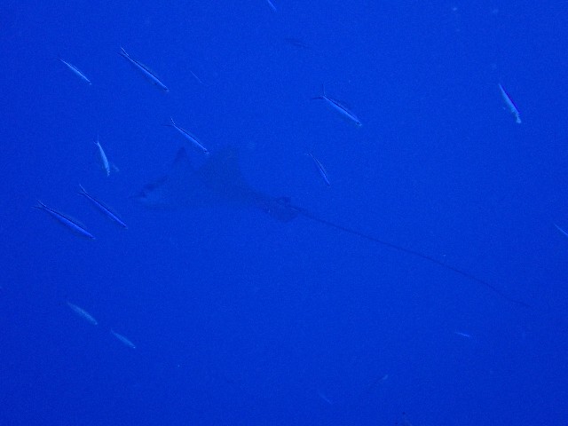 f:id:takedive1988:20201014213335j:image f:id:takedive1988:20201014213335j:image