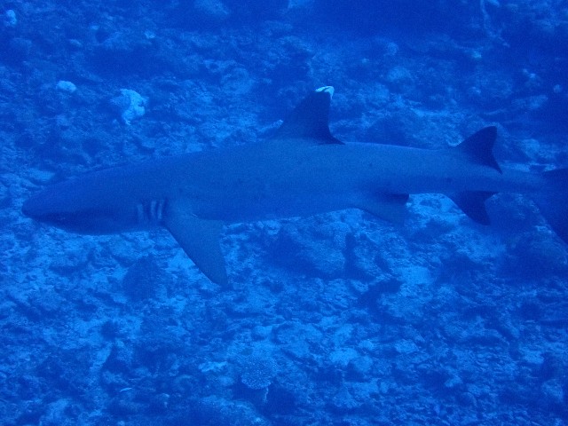 f:id:takedive1988:20201014213353j:image f:id:takedive1988:20201014213353j:image