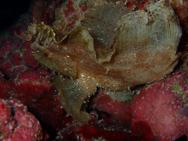 f:id:takedive1988:20201014213535j:image f:id:takedive1988:20201014213535j:image