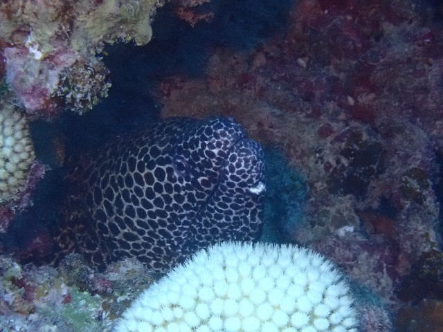 f:id:takedive1988:20201014213643j:image f:id:takedive1988:20201014213643j:image