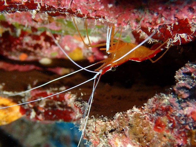 f:id:takedive1988:20201014213729j:image f:id:takedive1988:20201014213729j:image