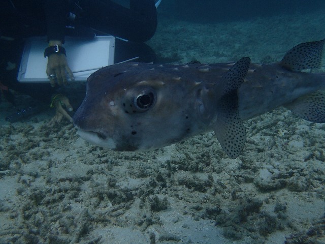 f:id:takedive1988:20201020221908j:image