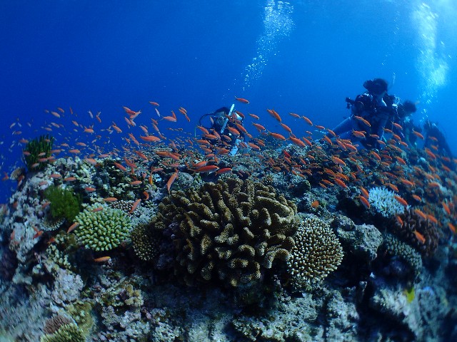 f:id:takedive1988:20201025221729j:image