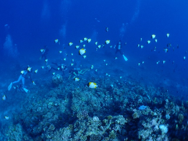 f:id:takedive1988:20201025221748j:image