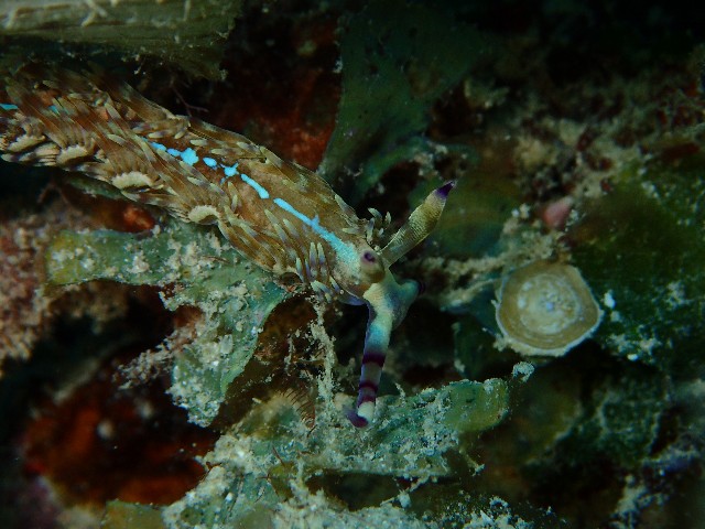 f:id:takedive1988:20201025222340j:image