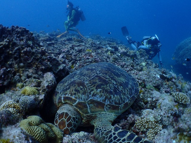 f:id:takedive1988:20201025222404j:image